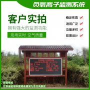 去公園吸氧，看看負(fù)氧離子在線監(jiān)測(cè)儀！